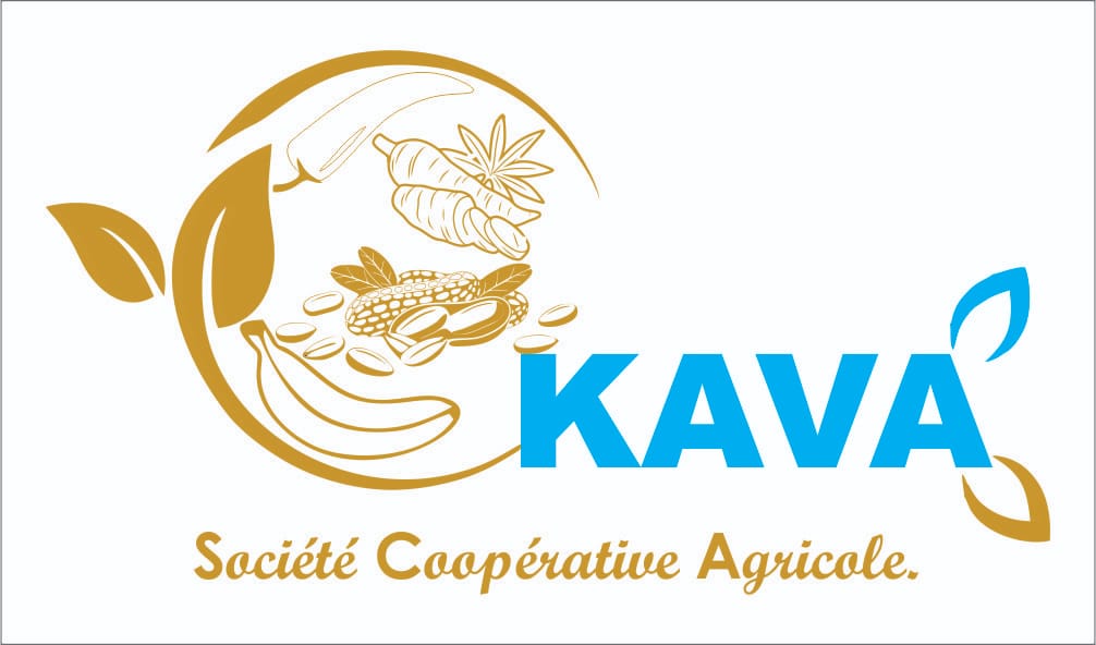 societe-cooperative-kava-J8oR